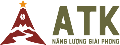 Công Ty TNHH Xuất Nhập Khẩu GFR VIệt Nam